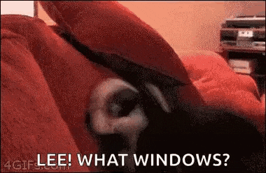 a close up of a person laying on a bed with the words " lee what windows " written on the bottom