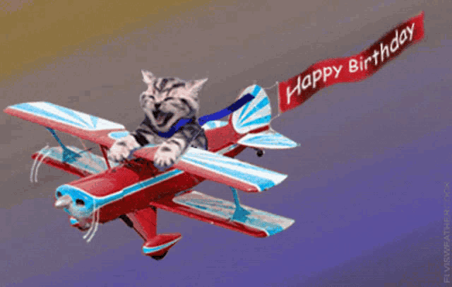 a cat is flying a plane with a banner that says happy birthday