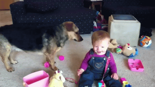 Baby + Dog + Bubbles = Cute GIF - Baby Dog Bubbles GIFs