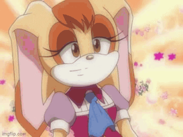 Sonic X Vanilla The Rabbit GIF - Sonic X Vanilla The Rabbit Mother GIFs