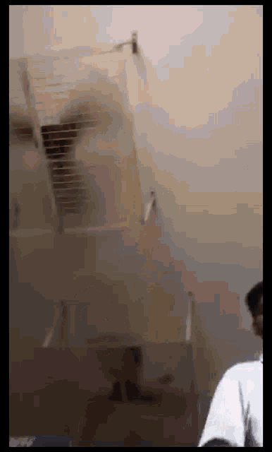a person standing in front of a cage with a bird flying out of it