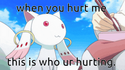 a picture of a cat with the words " when you hurt me this is who ur hurting " on it