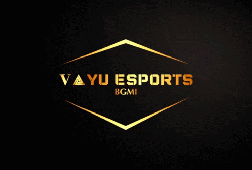 Vayuesports GIF - Vayuesports GIFs