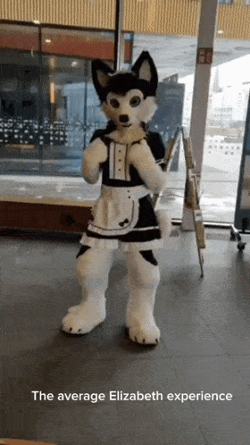 a husky mascot dressed as a maid is standing in front of a window