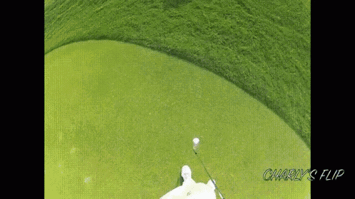 an aerial view of a golf course with the words charly 's flip at the top