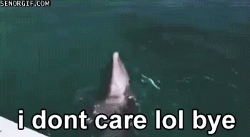 Dont Care Lol GIF - Dont Care Lol No GIFs