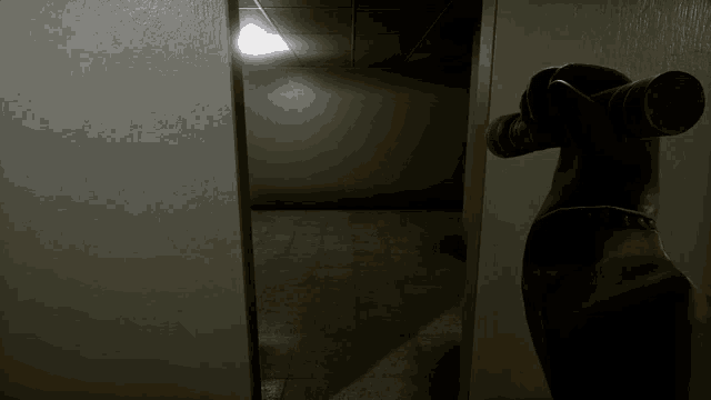 a statue of a dog is standing in a doorway in a dark room