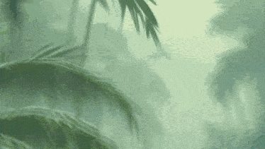 a painting of a tropical forest with palm trees