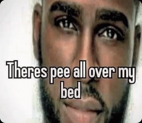 Pee Bed GIF - Pee Bed Theres Pee All Over My Bed GIFs
