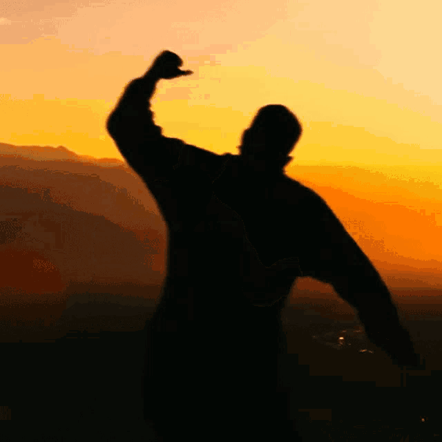 a silhouette of a person with their arm in the air at sunset