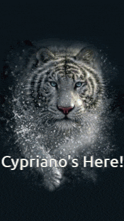 a picture of a tiger with the words cypriano 's here