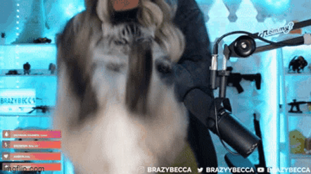 a woman is playing with a cat in front of a microphone on a stream .