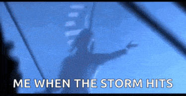 a silhouette of a person with the words `` me when the storm hits '' above them