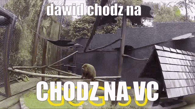 Dawid Discord GIF - Dawid Discord Voicechat GIFs