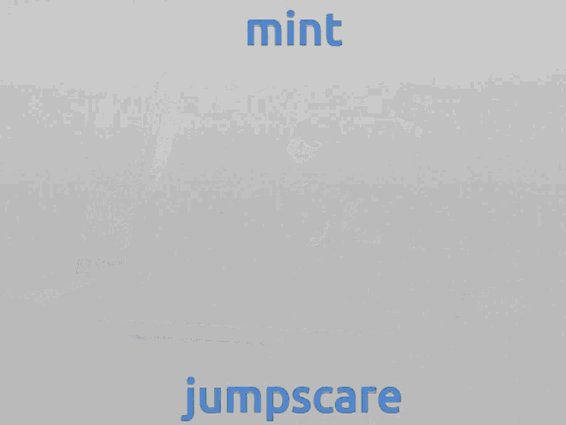 a laptop with a picture of a man and the words mint and jumpscare on the bottom