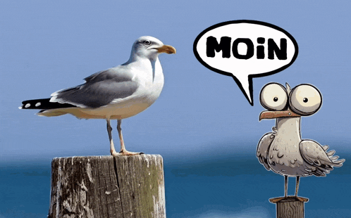 two seagulls are standing next to each other with a moin speech bubble