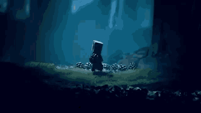 a person in a box is standing in a field of pine cones in a dark forest .