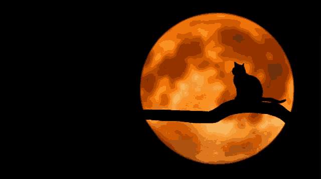 a cat sits on a branch in front of a full moon with the word kelle on the bottom right
