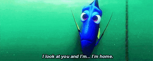 a cartoon fish is swimming in the ocean and saying i look at you and i 'm ... i 'm home