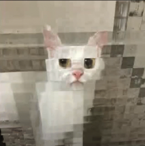 Cat Minecraft GIF - Cat Minecraft GIFs
