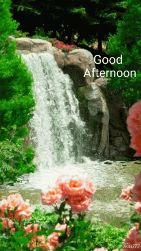 Good Afternoon GIF - Good Afternoon GIFs