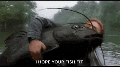 a man is holding a large catfish in his hands .