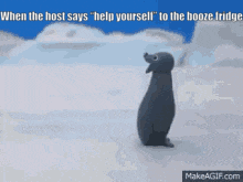 a penguin is standing in the snow with the words " when the host says " help yourself " to the booze fridge "
