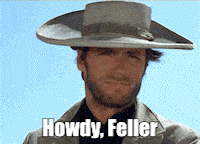 a man wearing a cowboy hat with the words howdy feller above him