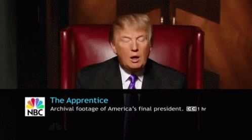The Apprentice GIF - The Apprentice Donald Trump GIFs