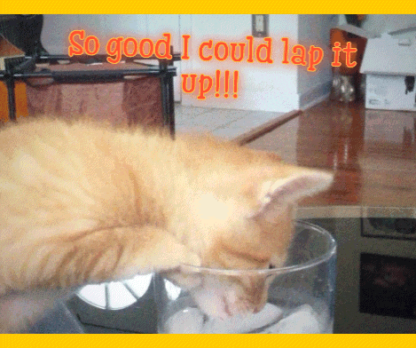 a cat drinking from a glass with the words " so good i could lap it up !!! " above it