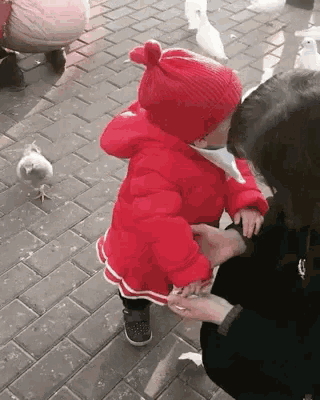 a little girl in a red jacket is holding a pigeon 's hand