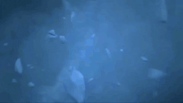 a blue dragon is flying through the air