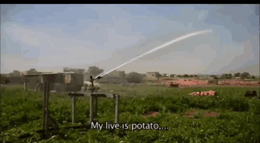 a sprinkler spraying water in a field with the words " my live is potato " written below it