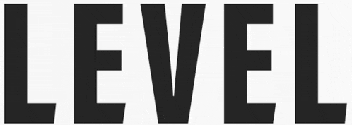 a black and white image of the word level written in large letters on a white background .
