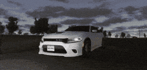 a white dodge charger with a texas license plate