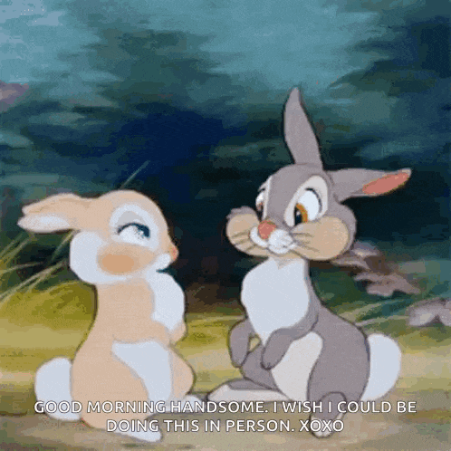 two rabbits are sitting next to each other in a field and one of them is saying good morning handsome .