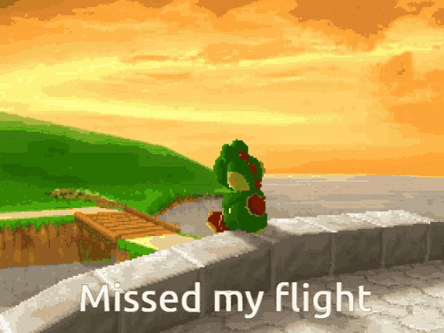 a pixelated image of a frog sitting on a wall with the words missed my flight below it