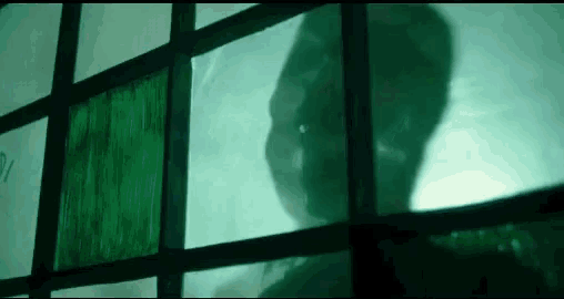 a shadow of a person is cast on a window .