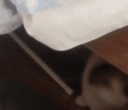 a close up of a person laying on a bed with a white sheet .