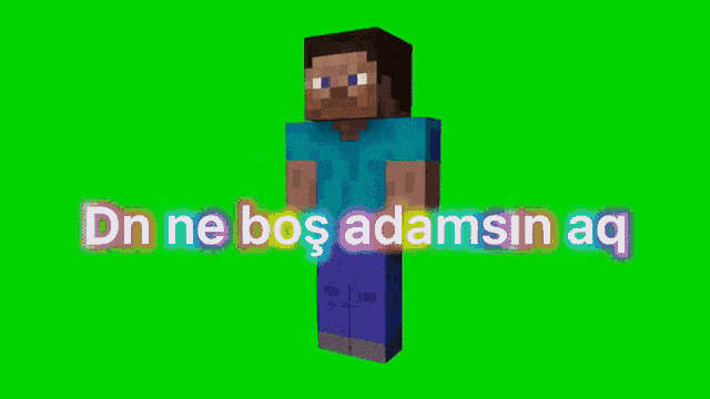 a minecraft character with the words dn ne bos adamsin aq behind him
