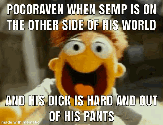 a picture of a muppet that says pocoraven when semp is on the other side of his world and his dick is hard