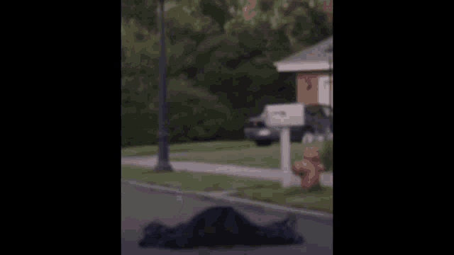 a person is laying on the ground on the side of the road .