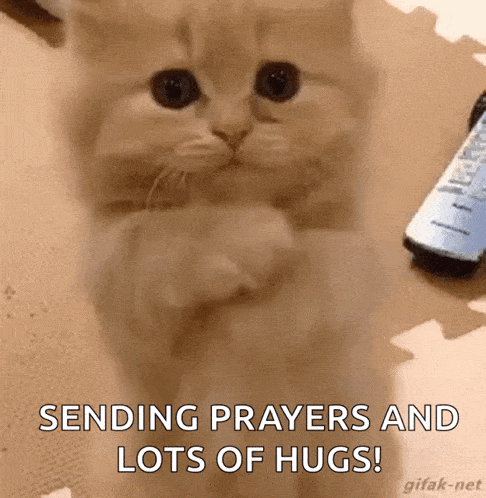 Sending Prayers Sending Love GIF - Sending Prayers Sending Love Kitty GIFs