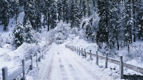 Country Roads Take Me Home Snow Day GIF - Country Roads Take Me Home Snow Day Cold GIFs
