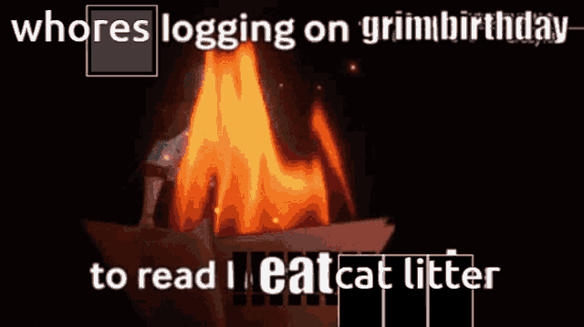 a picture of a fire with the caption whores logging on grim birthday to read meat cat litter