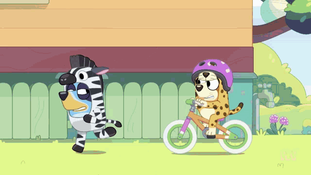 a zebra and a cheetah are standing next to each other