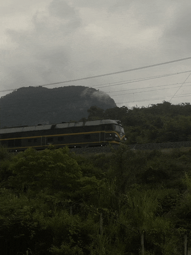 a train with a yellow stripe on the side is going down the tracks