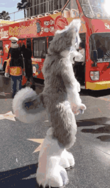 a stuffed animal is standing in front of a bus that says hoo on