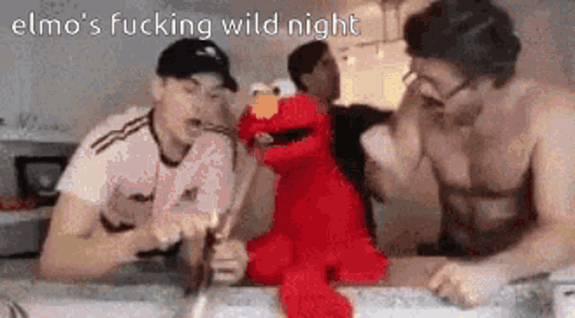 Elmos Wild Fucking Night Elmo GIF - Elmos Wild Fucking Night Elmo Cocaine GIFs