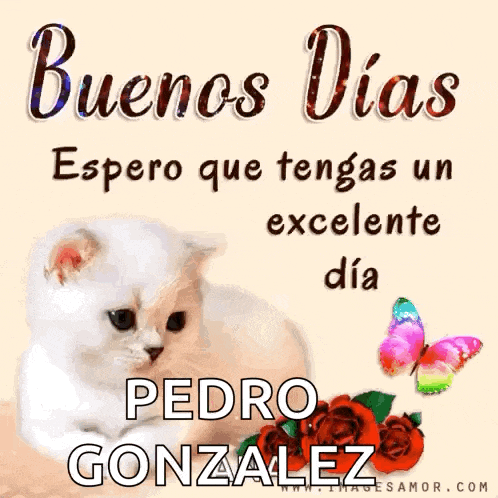 a picture of a cat with the words buenos dias espero que tengas un excelente dia pedro gonzalez on it